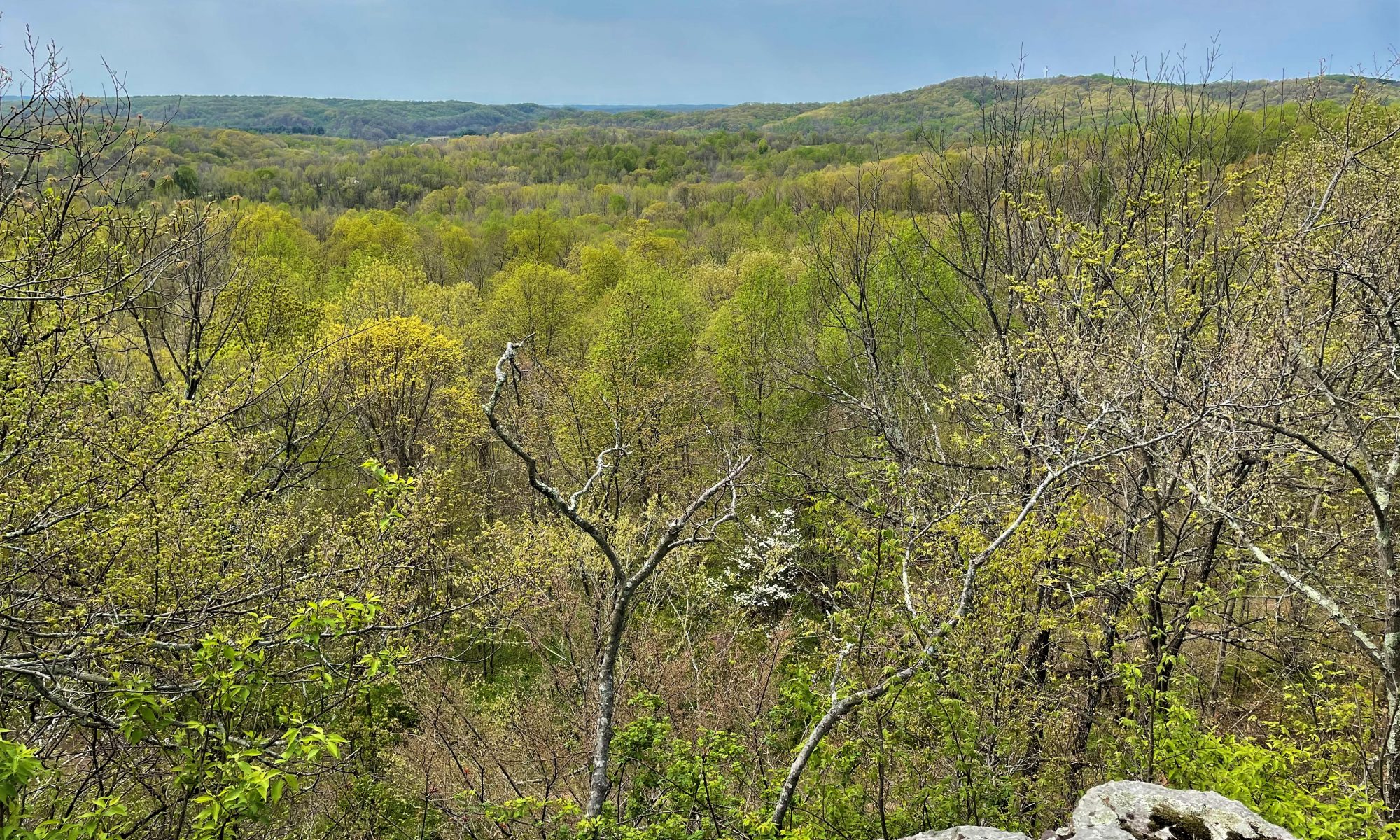 forest conservation